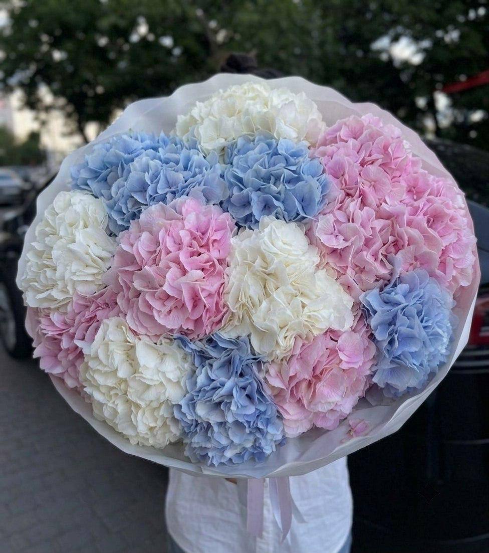 Моно-букет из 15 гортензий