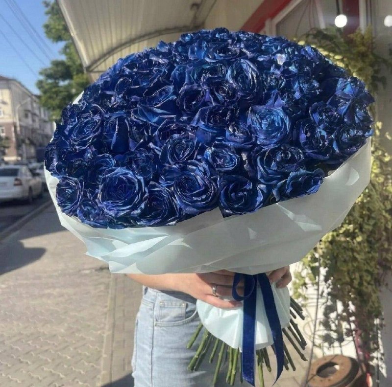Полуночный сапфир